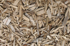 biomass boilers Glascoed